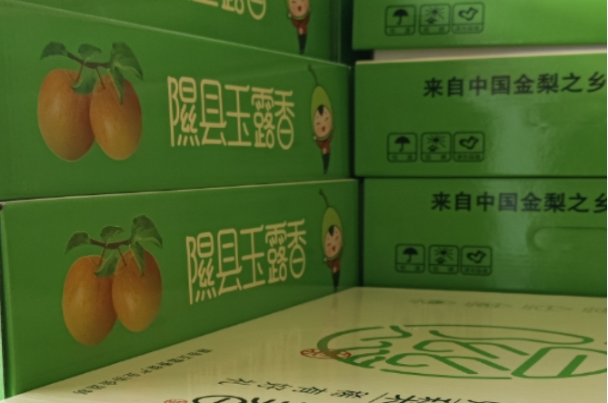 202504121744447085895945.png 微信截圖_20250412163756.png